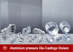 Die-Casting Division